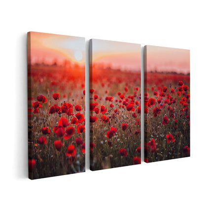 Canvas schilderij drieluik Rode Klaprozen Bloemenveld Zonsondergang