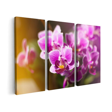 Canvas schilderij drieluik Paarse Orchidee Bloemen