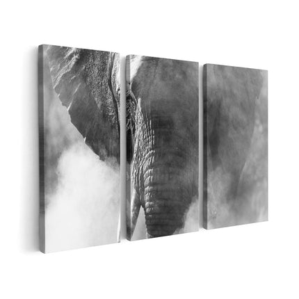 Canvas schilderij drieluik Olifantenkop - Olifant - Zwart Wit