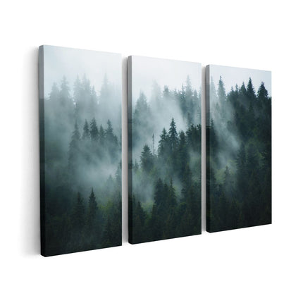 Canvas schilderij drieluik Bos Met Bomen In De Mist