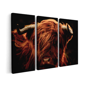Canvas schilderij drieluik Schotse Hooglander Koeienkop - Kleur
