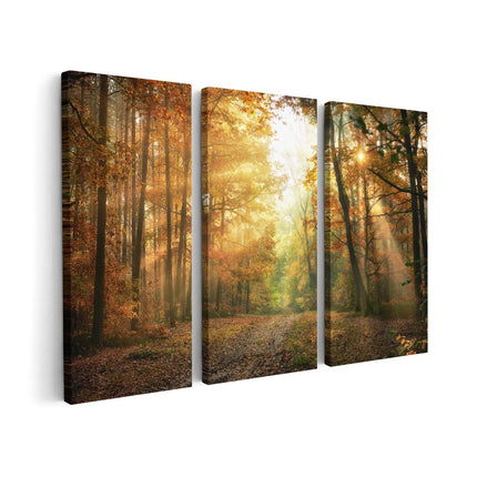 Canvas schilderij drieluik Herfstbos Met Zonneschijn