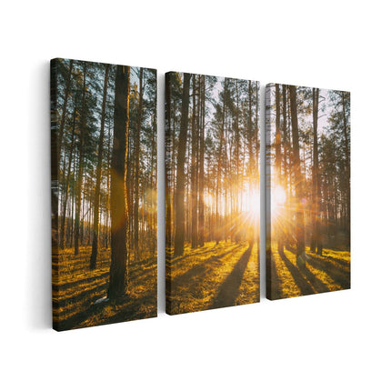 Canvas schilderij drieluik Zonsopkomst In Het Bos Tussen De Bomen