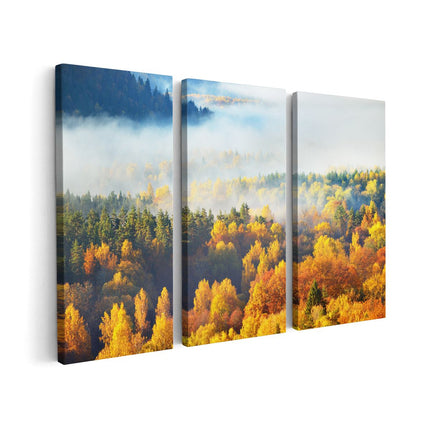 Canvas schilderij drieluik Gekleurde Herfstbos Met Mist