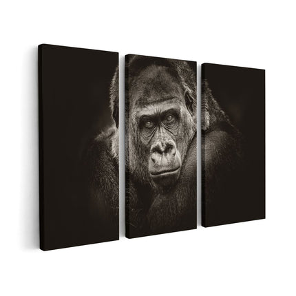 Canvas schilderij drieluik Gorilla - Zwart Wit