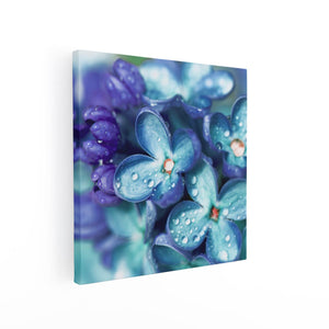 Canvas schilderij vierkant Blauwe Lila Bloemen - Seringen