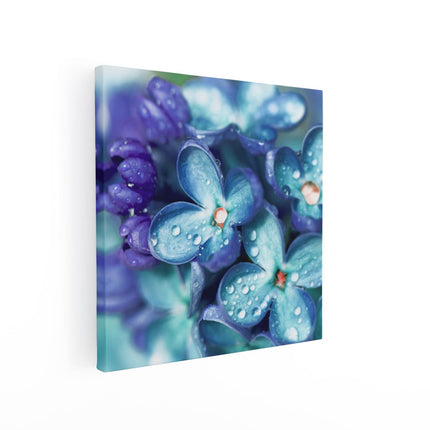 Canvas schilderij vierkant Blauwe Lila Bloemen - Seringen
