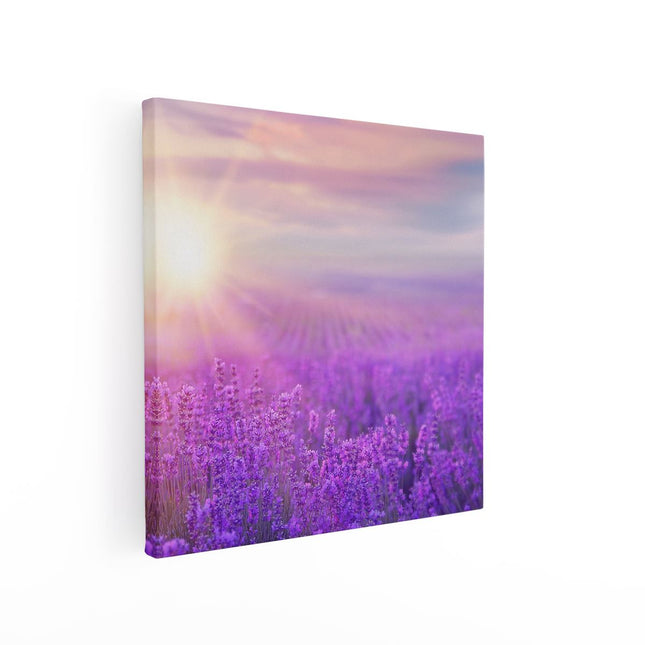 Canvas schilderij vierkant Bloemenveld Met Paarse Lavendel 