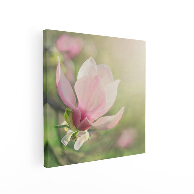 Canvas schilderij vierkant Roze Magnolia Bloem 