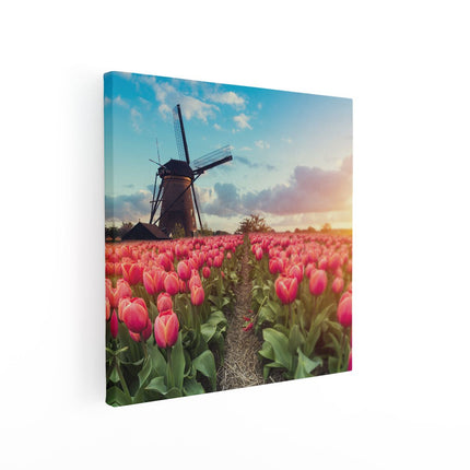 Canvas schilderij vierkant Roze Tulpen Bloemenveld - Met Windmolen