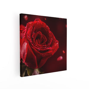 Canvas schilderij vierkant Romantische Rode Roos