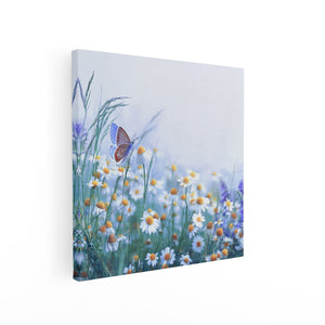 Canvas schilderij vierkant Witte Kamille Bloemen Met Een Vlinder