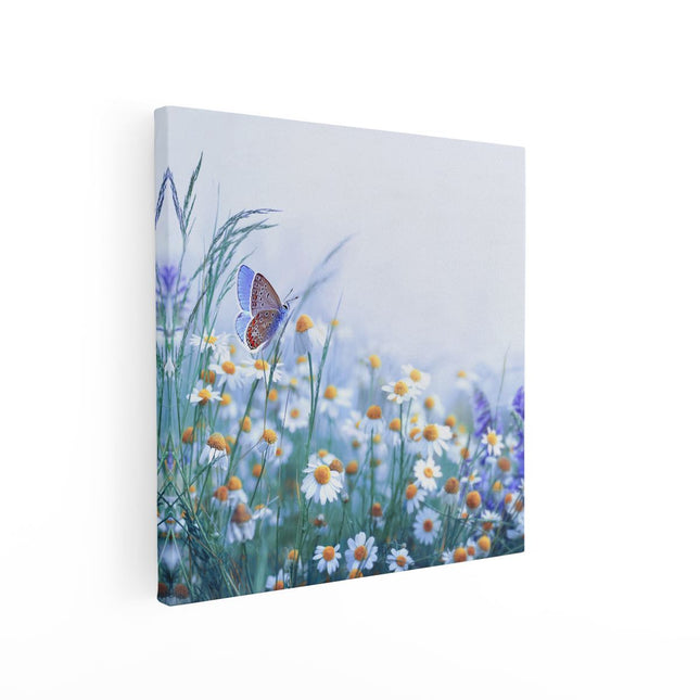 Canvas schilderij vierkant Witte Kamille Bloemen Met Een Vlinder