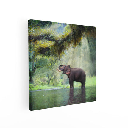 Canvas schilderij vierkant Vrolijke Olifant In Het Water