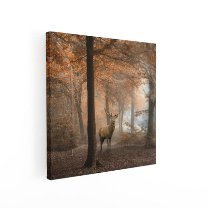 Canvas schilderij vierkant Hert In Het Bos - Herfst