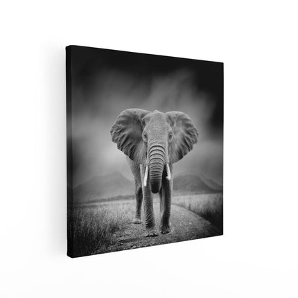 Canvas schilderij vierkant Olifant - Zwart Wit