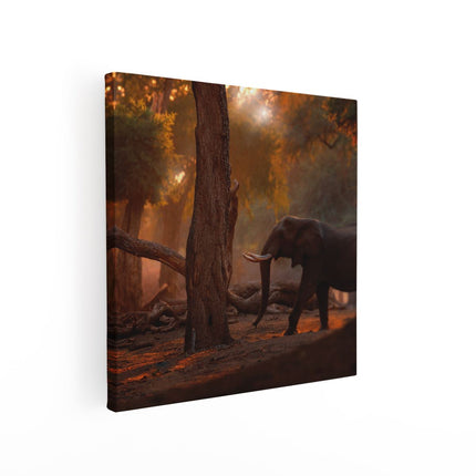 Canvas schilderij vierkant Olifant In het Bos