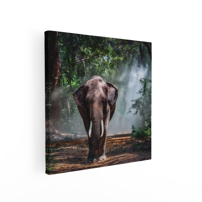 Canvas schilderij vierkant Olifant In Het Bos