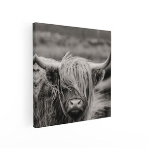 Canvas schilderij vierkant Schotse Hooglander Koe - Zwart Wit