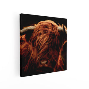 Canvas schilderij vierkant Schotse Hooglander Koeienkop - Kleur
