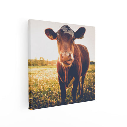 Canvas schilderij vierkant Koe In De Wei Tijdens Zonsondergang