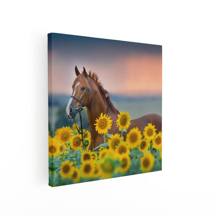 Canvas schilderij vierkant Bruin Paard Tussen De Zonnebloemen