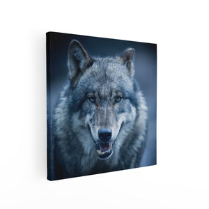 Canvas schilderij vierkant Wolvenkop Met Blauwe Ogen - Wolf