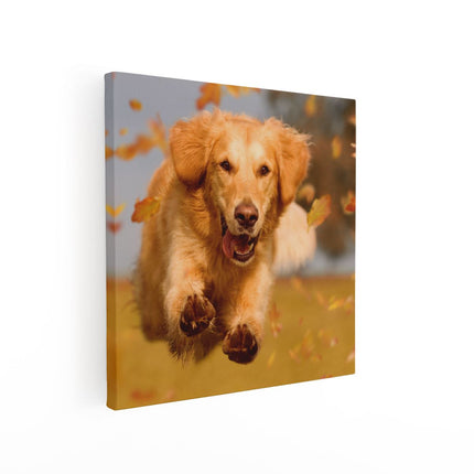 Canvas schilderij vierkant Golden Retriever Hond In De Herfst Bladeren