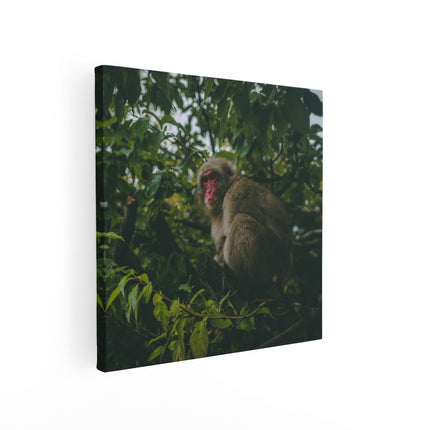 Canvas schilderij vierkant Aap In De Boom Tussen De Bladeren