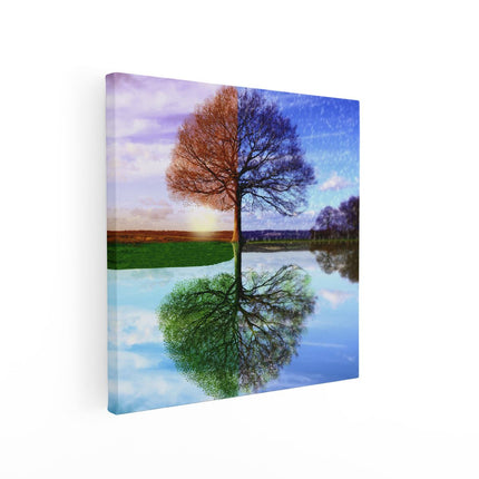 Canvas schilderij vierkant Vier Seizoenen Boom