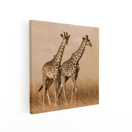 Canvas schilderij vierkant Twee Giraffes In Het Veld