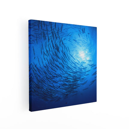 Canvas schilderij vierkant Zwerm Vissen in de Oceaan