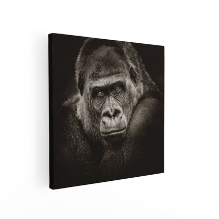 Canvas schilderij vierkant Gorilla - Zwart Wit