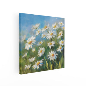 Canvas schilderij vierkant Witte Madeliefjes in een Veld