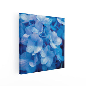 Canvas schilderij vierkant Close-Up van Blauwe Bloemen