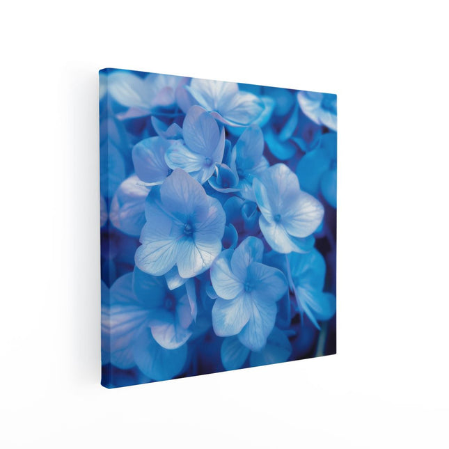Canvas schilderij vierkant Close-Up van Blauwe Bloemen