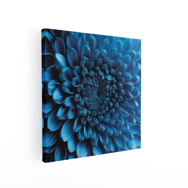 Canvas schilderij vierkant Close-Up van een Blauwe Chrysant Bloem