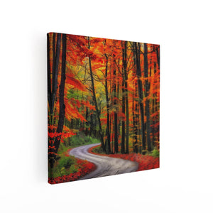 Canvas schilderij vierkant Kronkelende Weg in het Bos