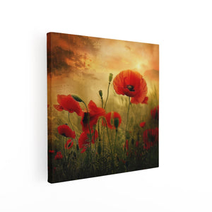 Canvas schilderij vierkant Rode Papavers in een Veld bij Zonsondergang
