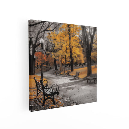 Canvas schilderij vierkant Zwart Wit Beeld van Bankjes in een Park