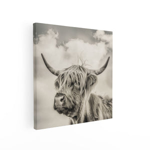 Canvas schilderij vierkant Schotse Hooglandkoe met Hoorns