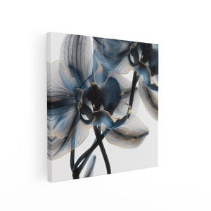 Canvas schilderij vierkant Twee Blauwe Orchideeën op een Witte Achtergrond