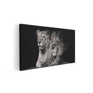 Canvas schilderij vooraanzicht Leeuw En Leeuwin - Zwart Wit