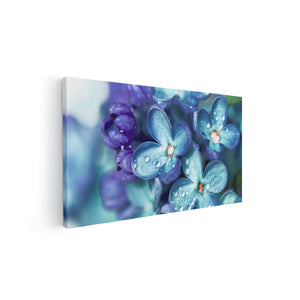 Canvas schilderij vooraanzicht Blauwe Lila Bloemen - Seringen