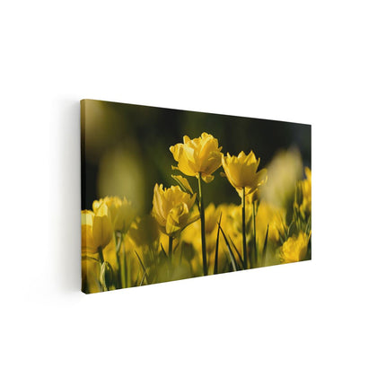 Canvas schilderij vooraanzicht Gele Tulpen - Bloemen