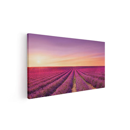 Canvas schilderij vooraanzicht Paarse Lavendel Bloemenveld