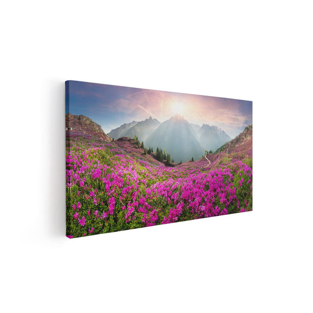 Canvas schilderij vooraanzicht Rhododendron Bloemenveld In De Alpen
