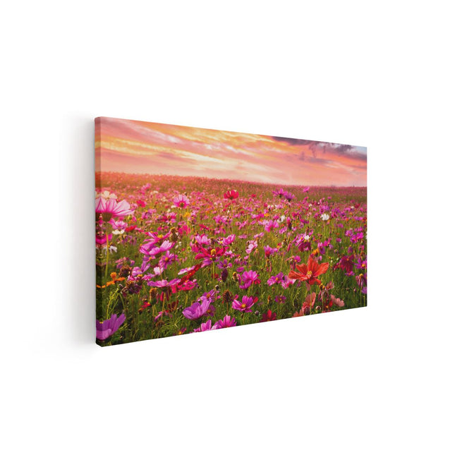 Canvas schilderij vooraanzicht Kleurrijke Kosmos Bloemenveld
