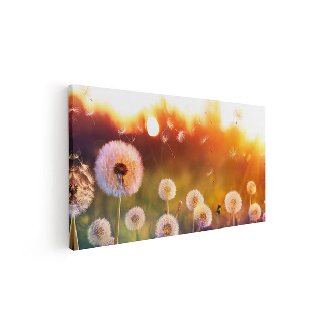 Canvas schilderij vooraanzicht Paardenbloemen Tijdens Zonsondergang
