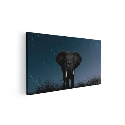 Canvas schilderij vooraanzicht Olifant Omringd Met Sterren 